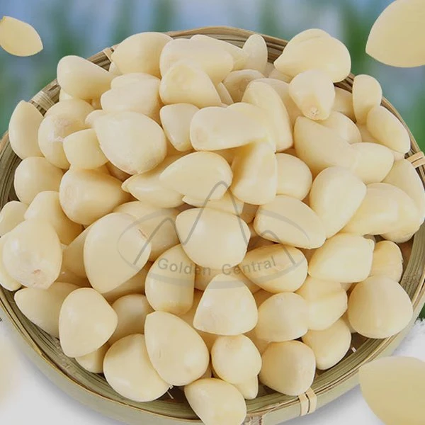 Peeled Garlic Cloves for Sale Good Quality Garlic Products