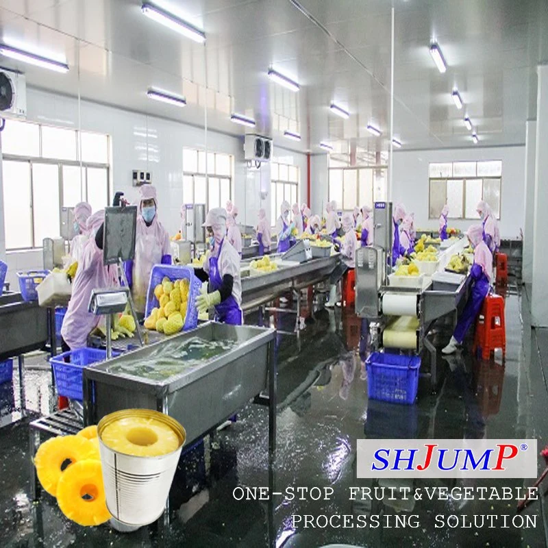 3000kg Capacity Automatic Pineapple Juice Puree Filling Production Line