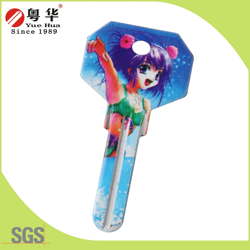 Factory Price Hot Sales Custom Colorful Fashion Metal Art Blank Key for Locks