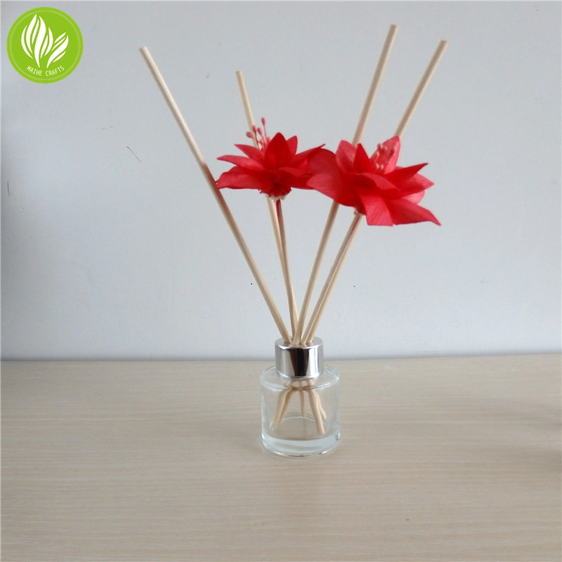 Sola Flower Reed Diffuser Sticks for Essential Oil