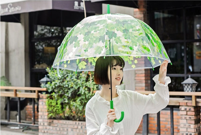 Fancy Eye-Catching Stylish Clear Vibrant Tone-to-Tone Printed Dome-Shaped Transparent PVC Umbrella