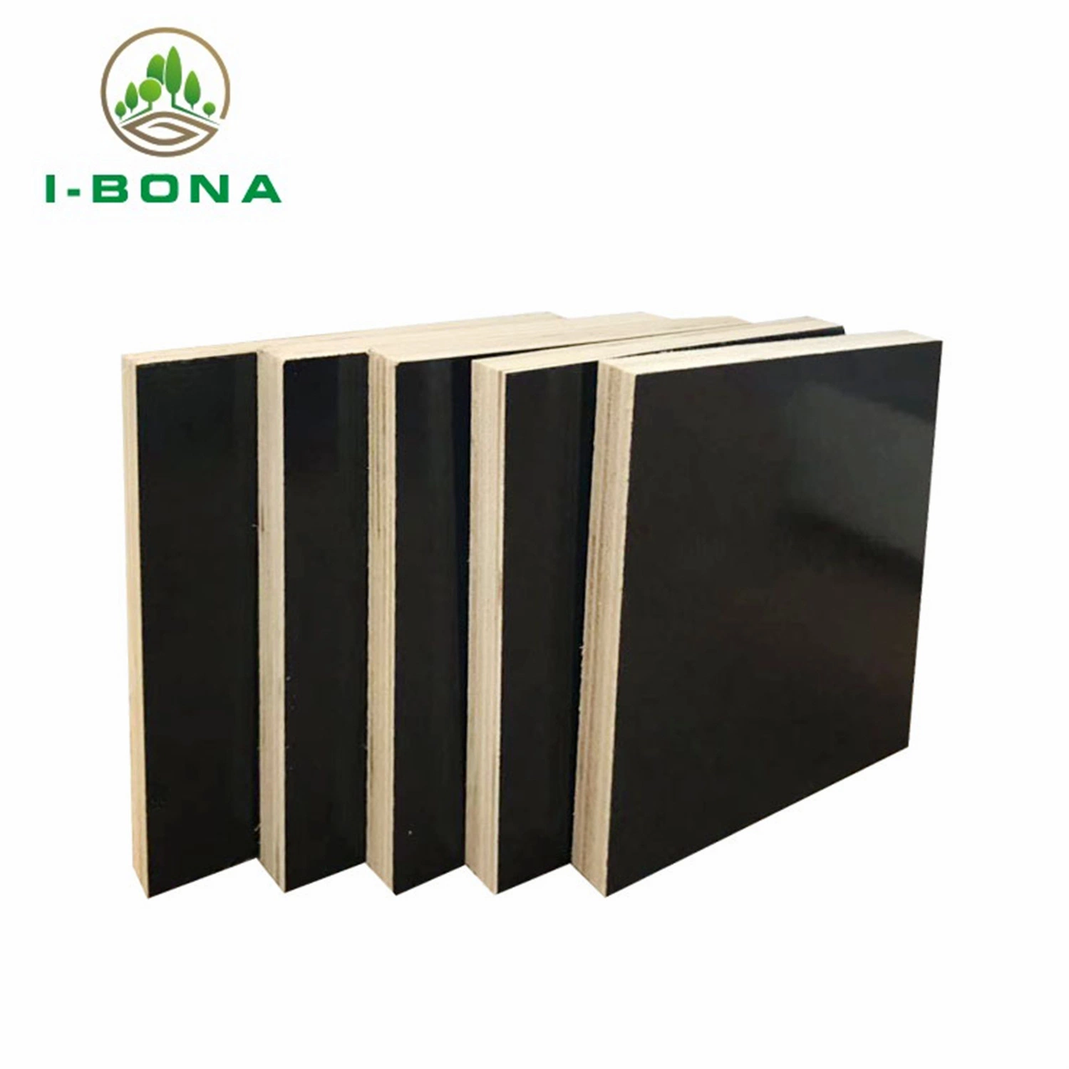 Birch Black Film Plywood Film Faced Plywood Shuttering Plywood