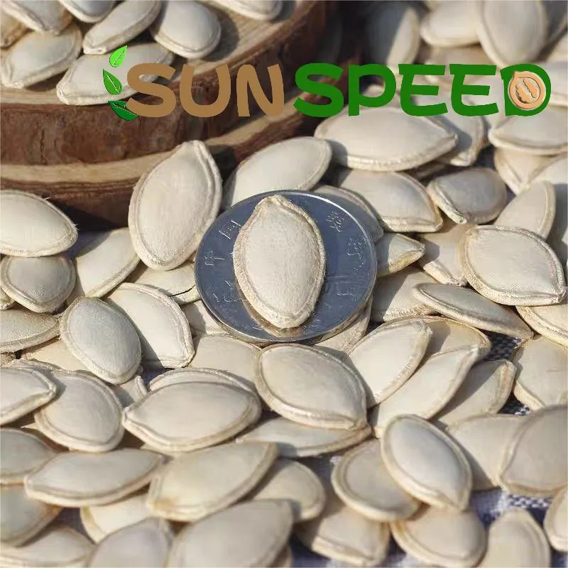 Shine Skin Pumpkin Seeds Kernel New Light Green Raw Pumpkin Seeds