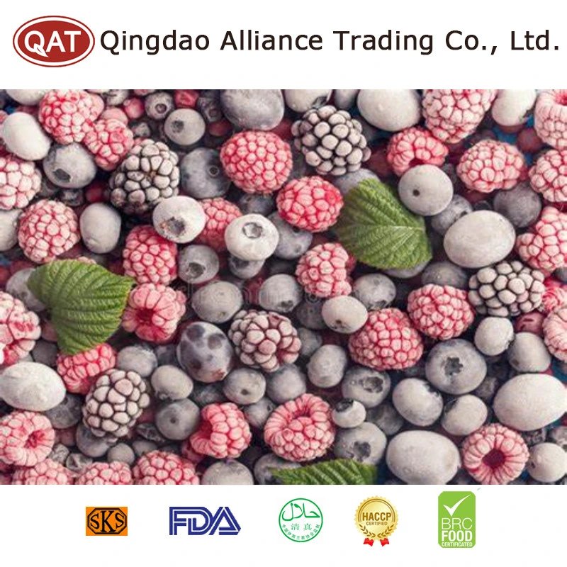 Supply IQF Blended Mixed Berries with HACCP Certificates