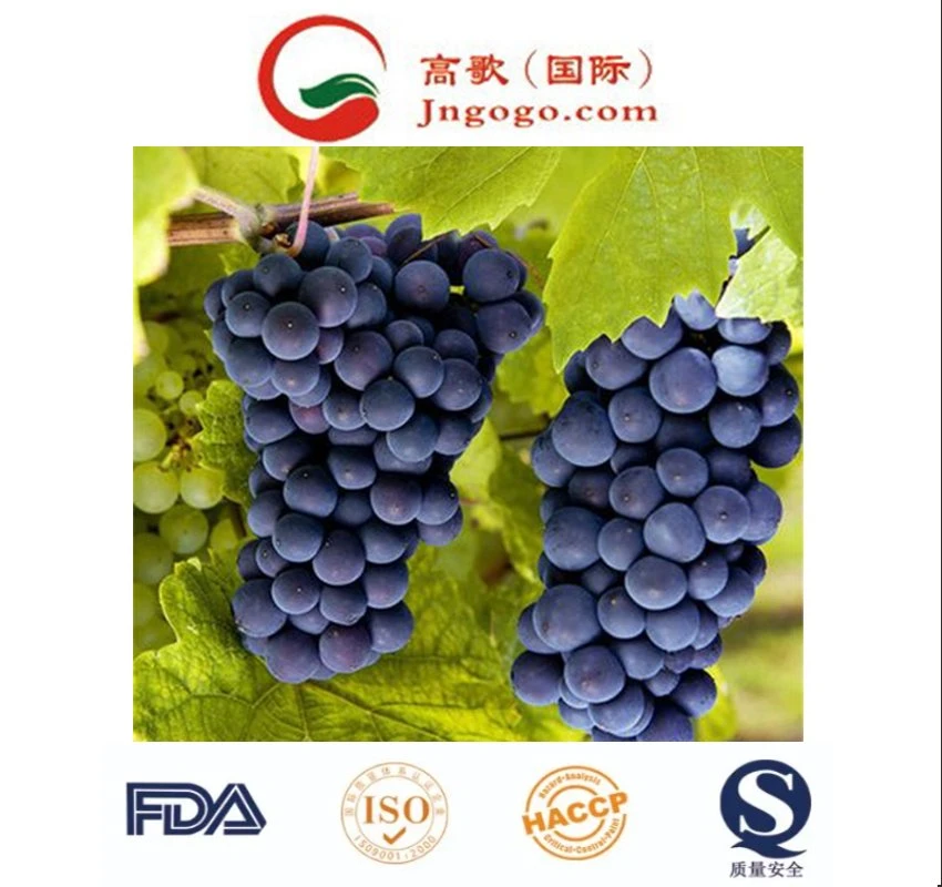 Fresh Pipless Summer Black Grapes Fruit