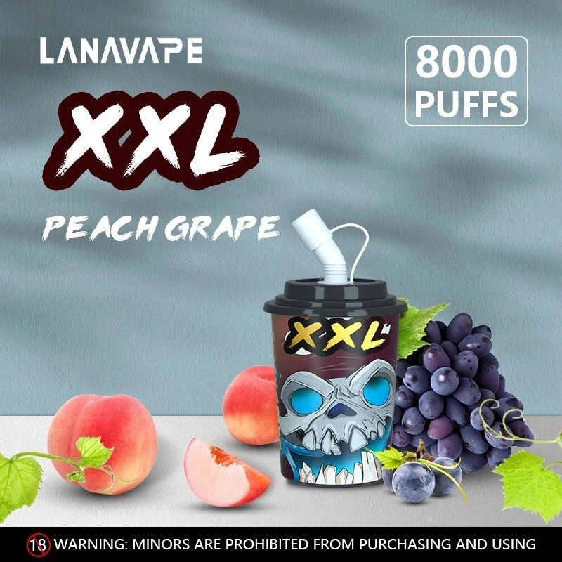Commerce de gros Lana XXL bouffées 8000 E-cigarettes jetables Lana Bar prix d'usine Vape stylo à