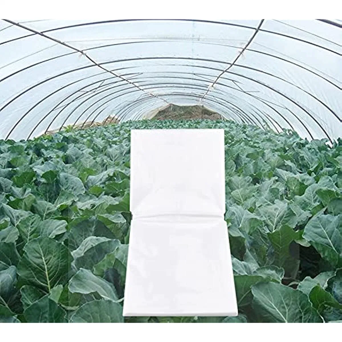 LDPE Transparent/White/Black/Silver Agricultural Plastic UV Protection Mulch Film