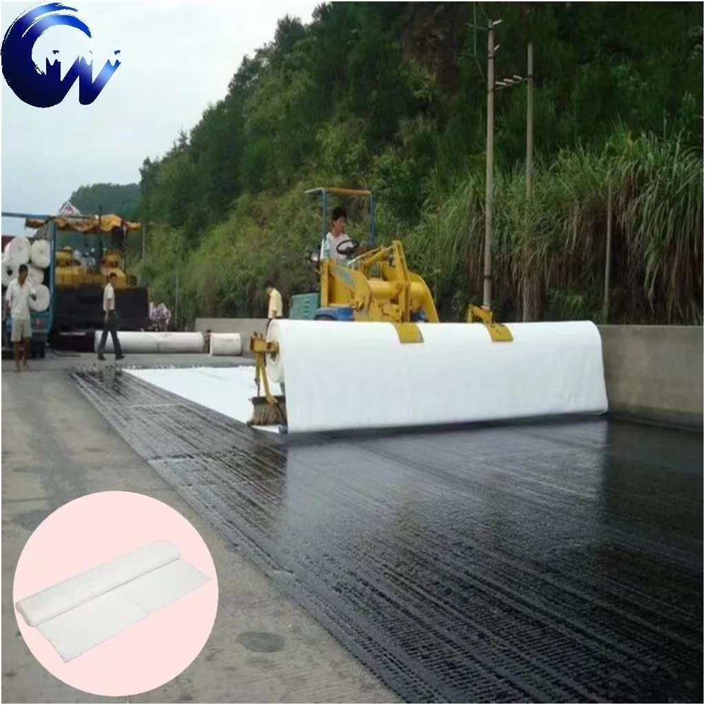 Nonwoven Geotextile PP/Pet Staple Fiber Fabric for Philippines Road