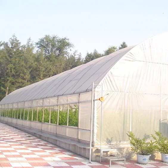 Single Agriculture Customized House Plastic Tomato Greenhouse PE Film in China Xinhe