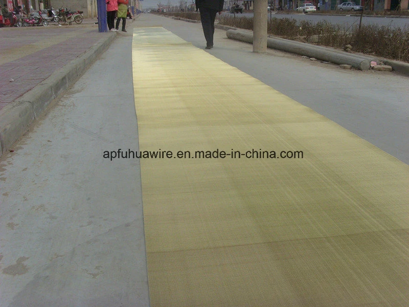 Brass Wire Screen Mesh Water Filter Mesh