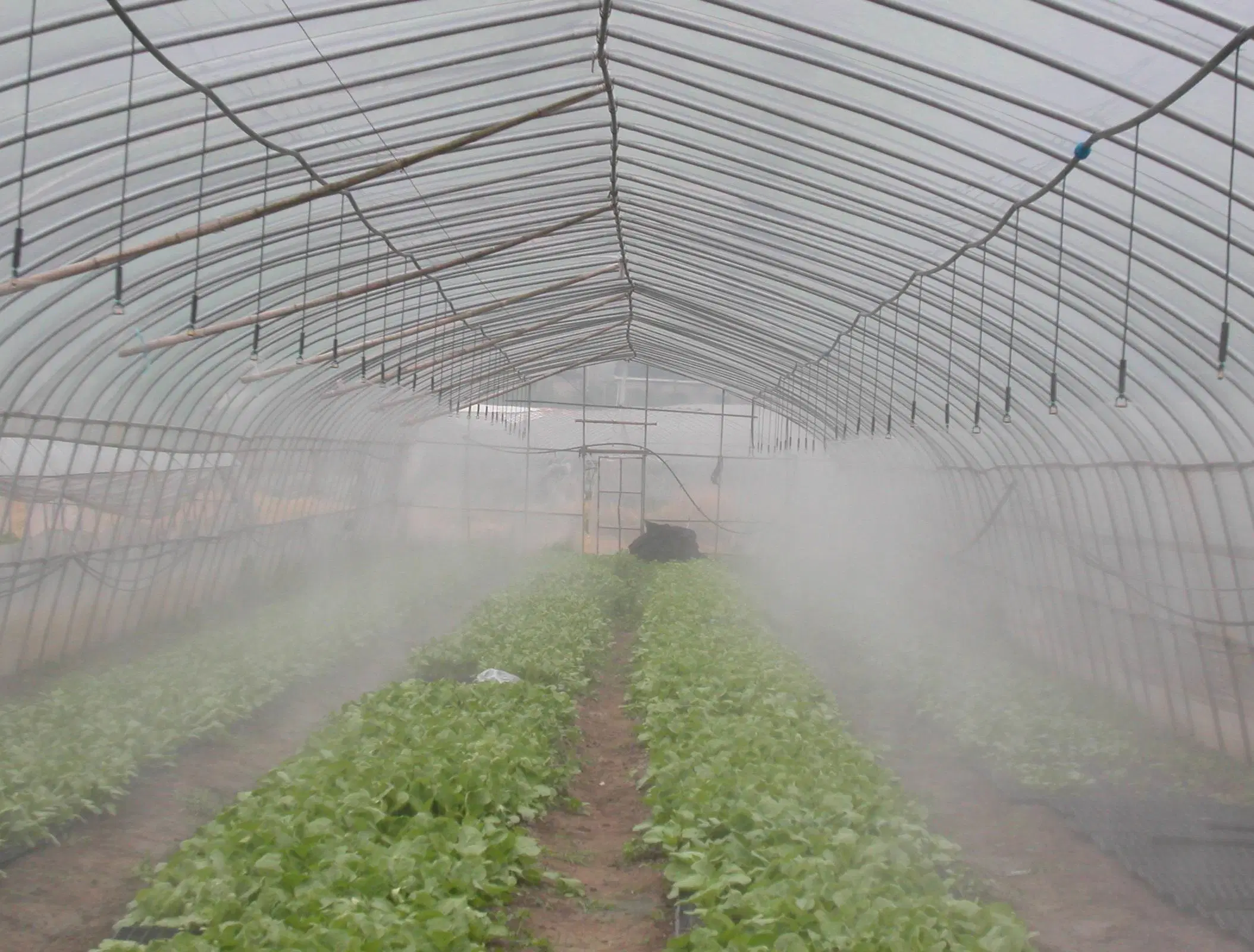 Integrated Drip Irrigation System for Greenhouses