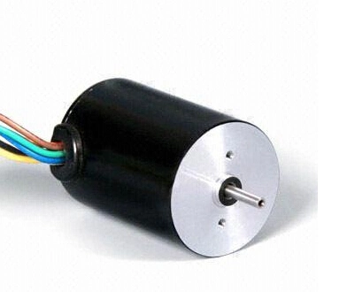 24V-48V 95W 4000rpm Bürstenloser DC-BLDC-Motor für Mäher