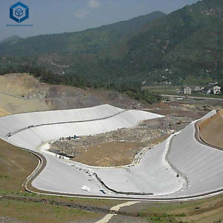 CE ISO 2mm Black Impermeable HDPE Geomembrane for Waste Treatment Project in France