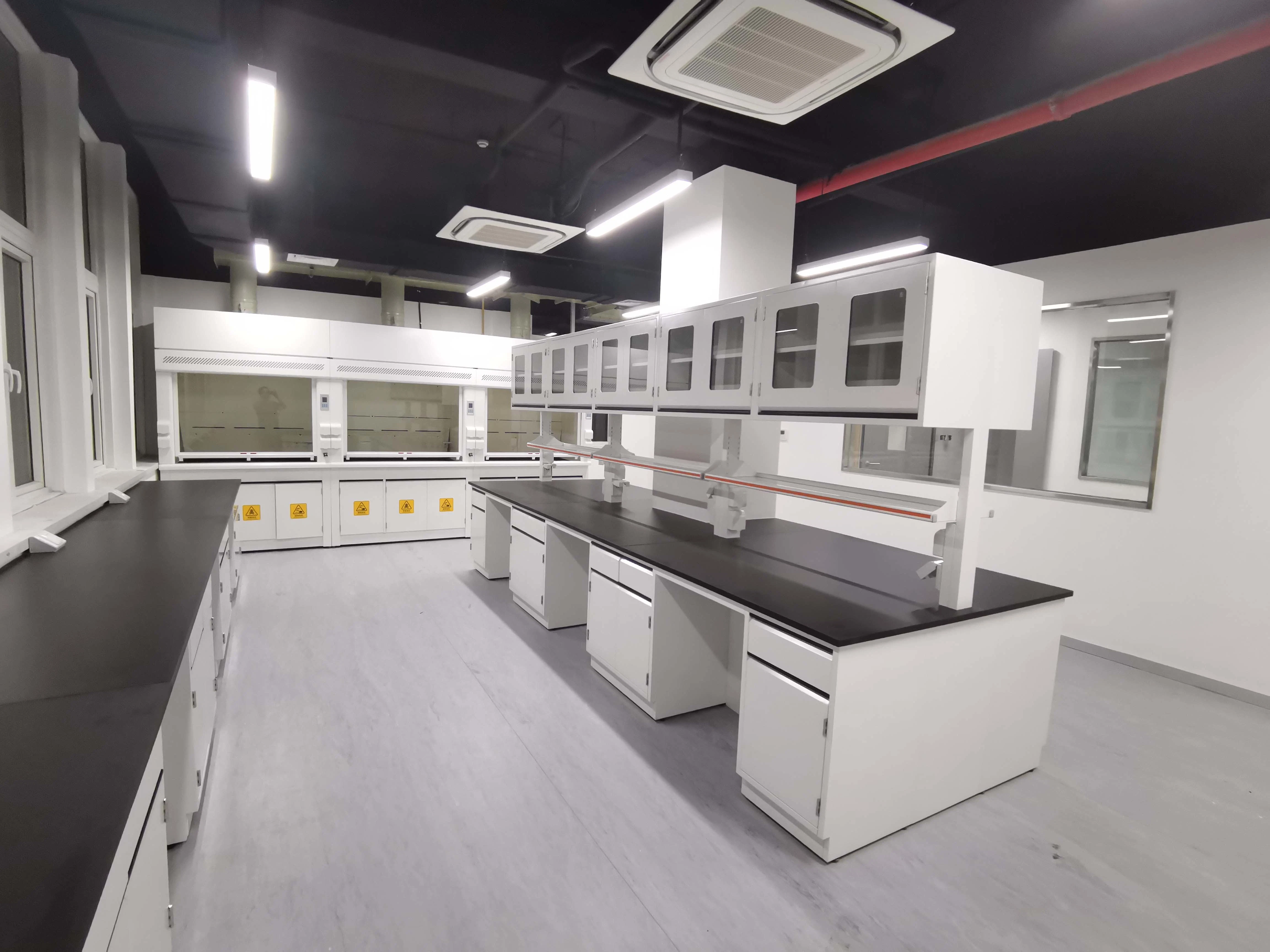 Laboratory Furniture Equipment for Fume Hood for Free Furniture Decoration Lab Design