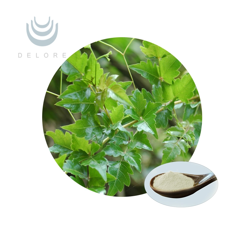 Natural Plant Extract Food and Beverage Additive Vine Tea P. E., Vine Tea Extract Powder, Dihydromyricetin in Bulk