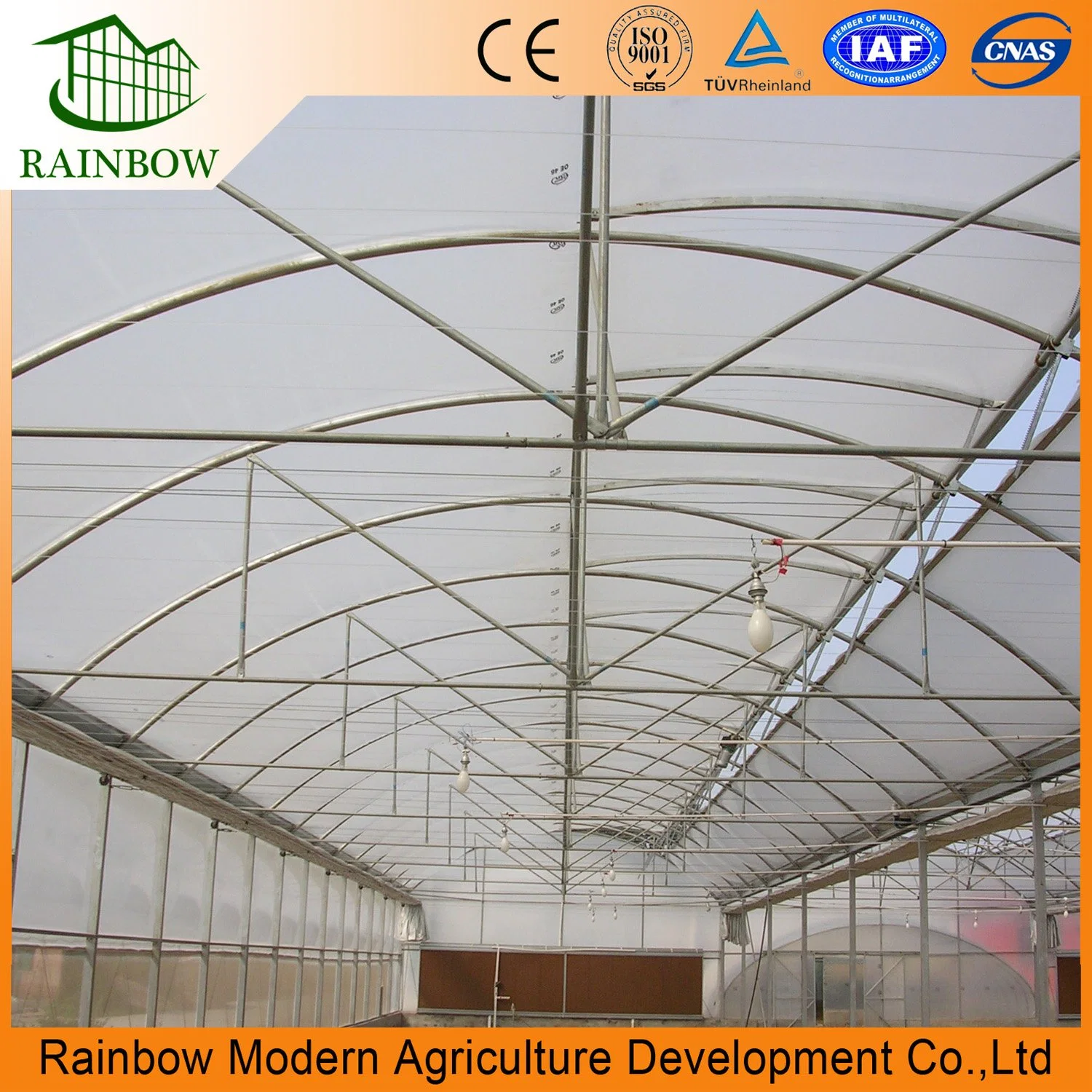 Galvanized Steel Frame for Flower Greenhouse with Po Film