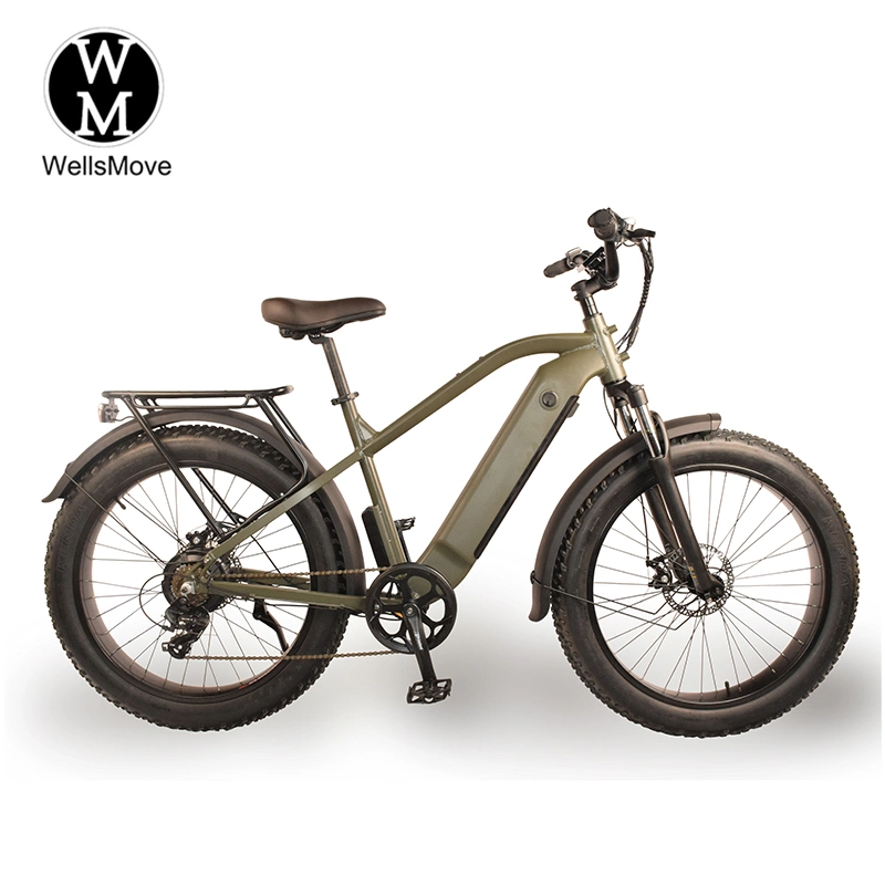 China OEM 26 Inch Fat Tire 500W 13ah Powerful Electric Mountain Sporty Bike for with Big Tire