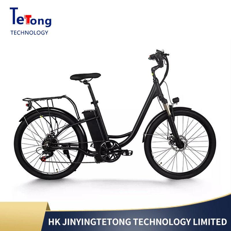 China Professional Manufacture Cute Design Electric Bike with Disc Brake Folding Bike