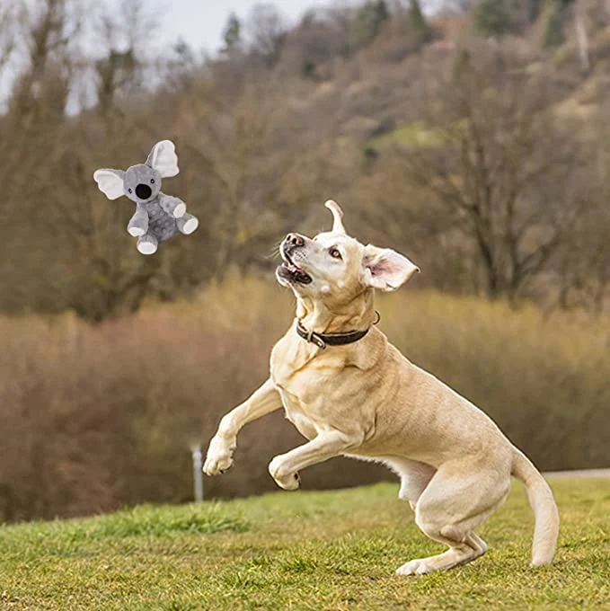 El Koala Squeaky perro espuma suave de juguetes con papel de ondulada por medio de grandes perros pequeños