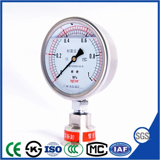 Bottom Vibration Resistant Stainless Steel Pressure Gauge