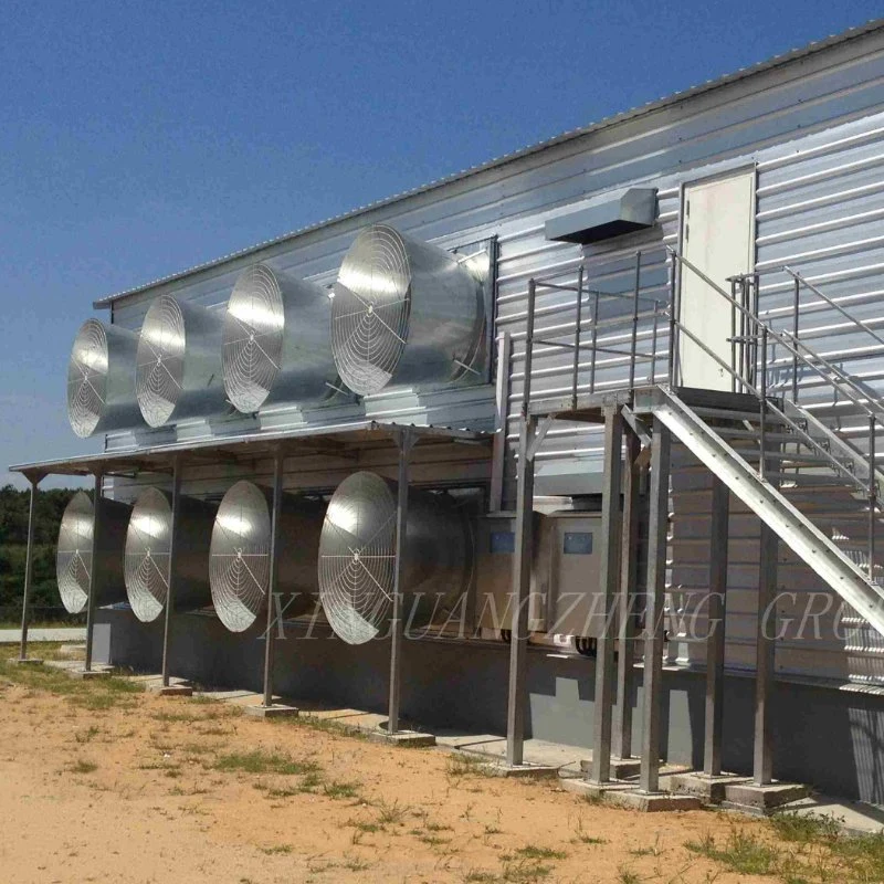 Steel Structure Poultry Farm House