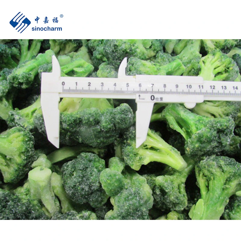 SinoCharms Оптовая цена Bulk 3-5см IQF Broccoli с 5% Glazing Замороженные цветочные соцветия брокколи с BRC A