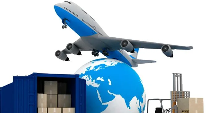 Agente de exportação do transporte marítimo DDP Air Freight Forwarder da Guiana Francesa/Polinésia Francesa/Gabão/Gâmbia FedEx/UPS/TNT/DHL Express Logística de taxas