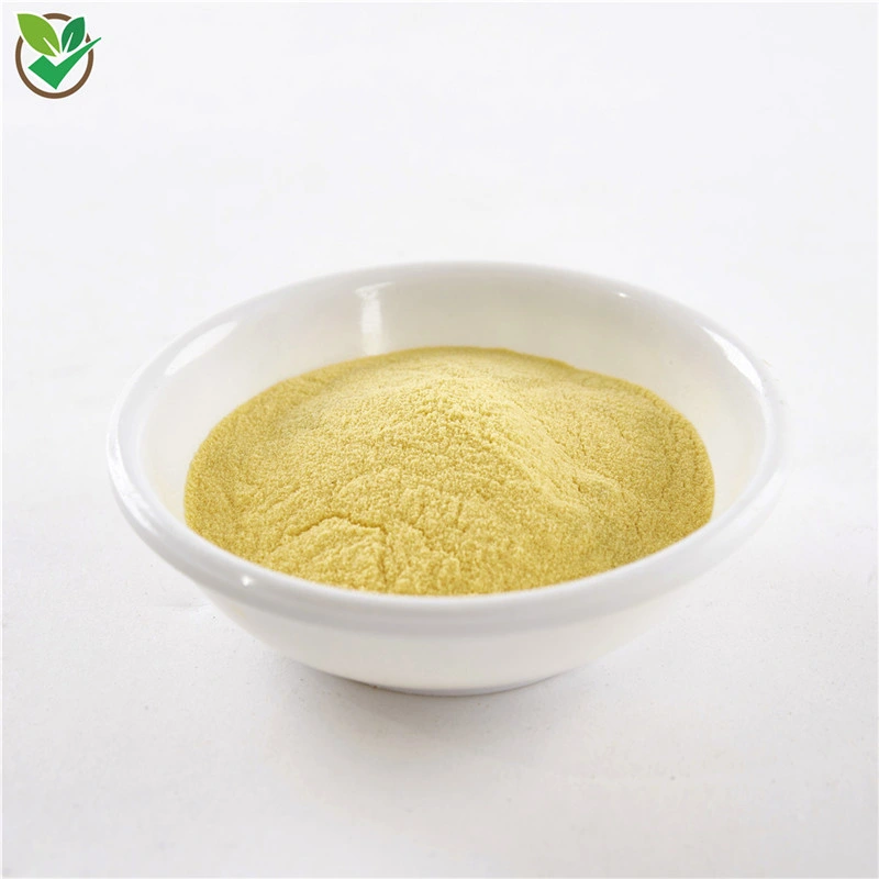 Hot Selling Natural Pumpkin Powder