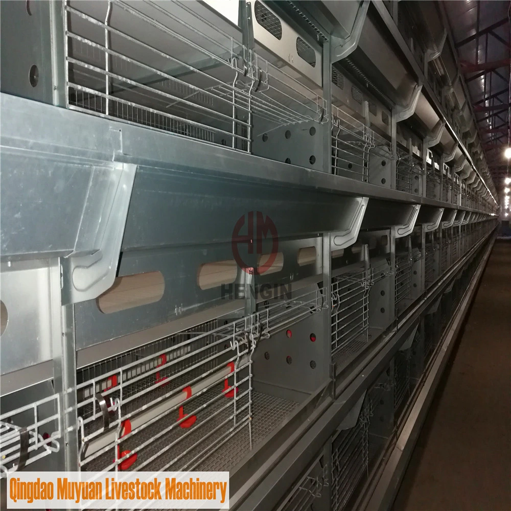 Automatic Battery Baby Layer Chick Coop of Poultry Livestock Machinery