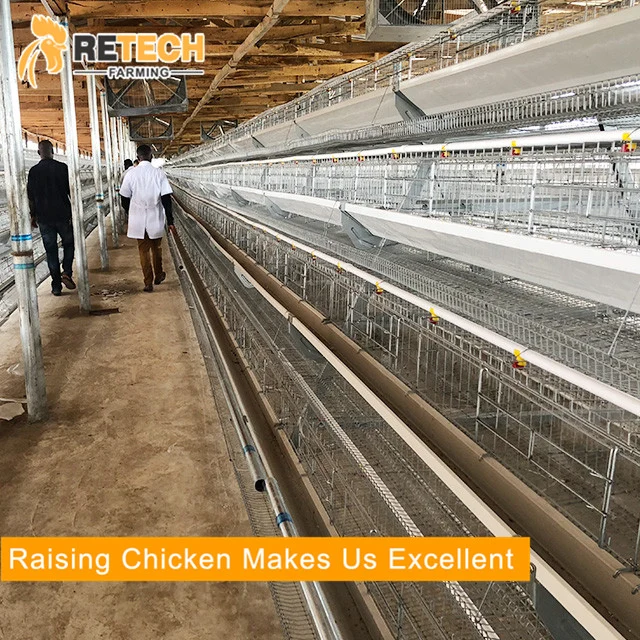 New Design 4 Tiers Manual Chicken Battery Layer Cage for Poultry Farms