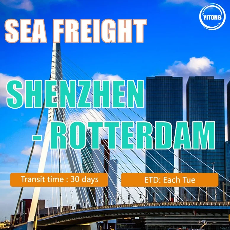 Tarifa de transporte marítimo desde Xiamen a Rotterdam