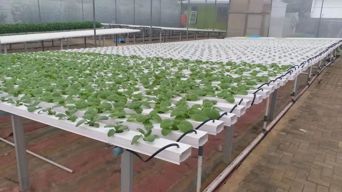 100*50mm Square Nft Channel Growing Gully for Leafy Vegetables Complete Hydroponic Greenhouse System