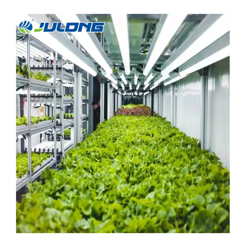 حاوية شحن ذكية 40 قدمًا مع أنظمة Hydroponic Lettuce