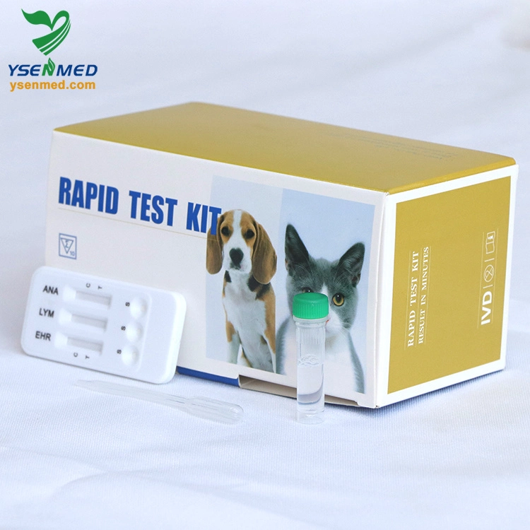 Medical Equipment Veterinary Rapid Felv AG Feline Leukemia Virus Antigen Test