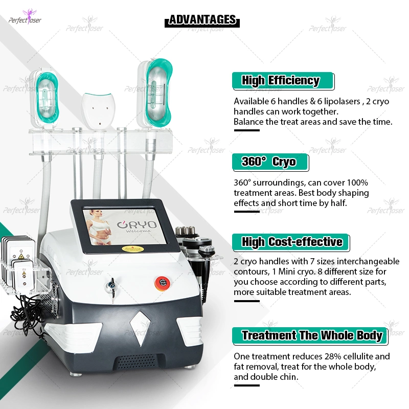 Home Fat Freezing Machine Radio Frequency Hyperthermia Cryolipolysis Equipment