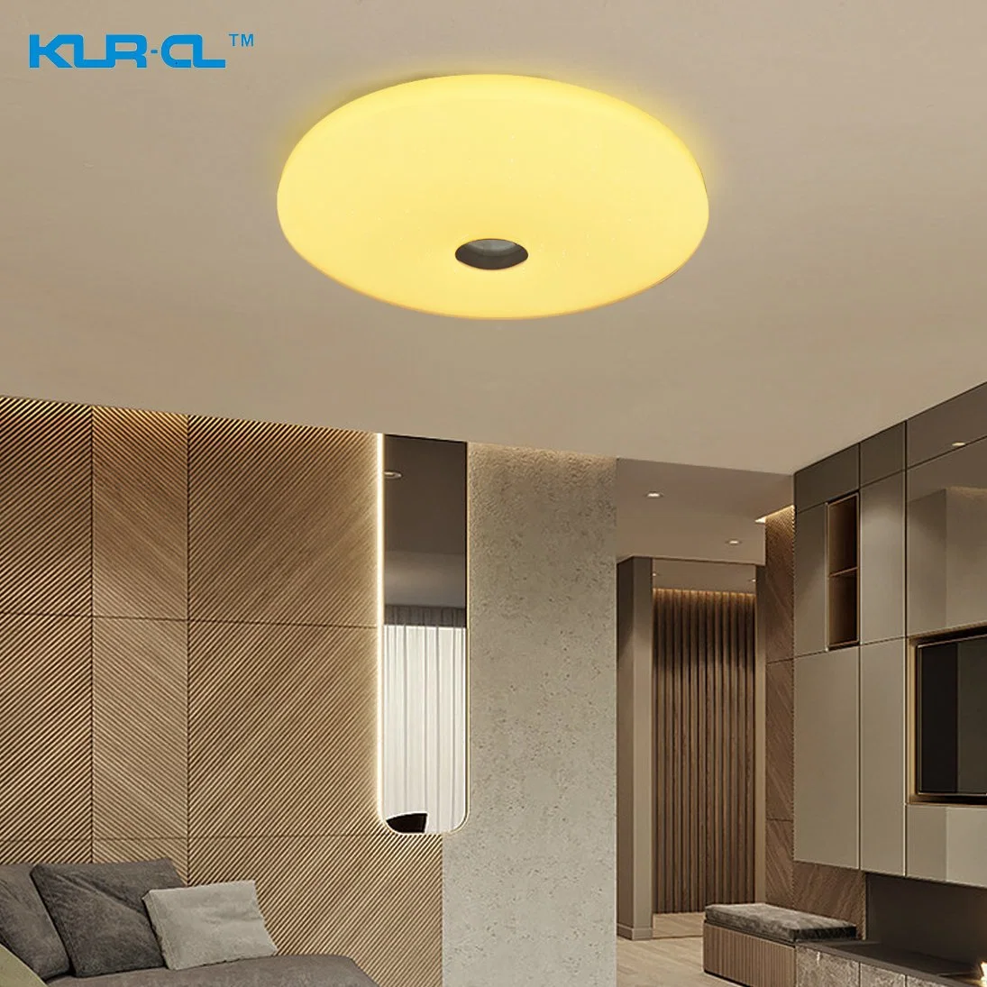 Auto RGB Flash RGB Bluetooth Home Office LED Ceiling Lighting for Festival