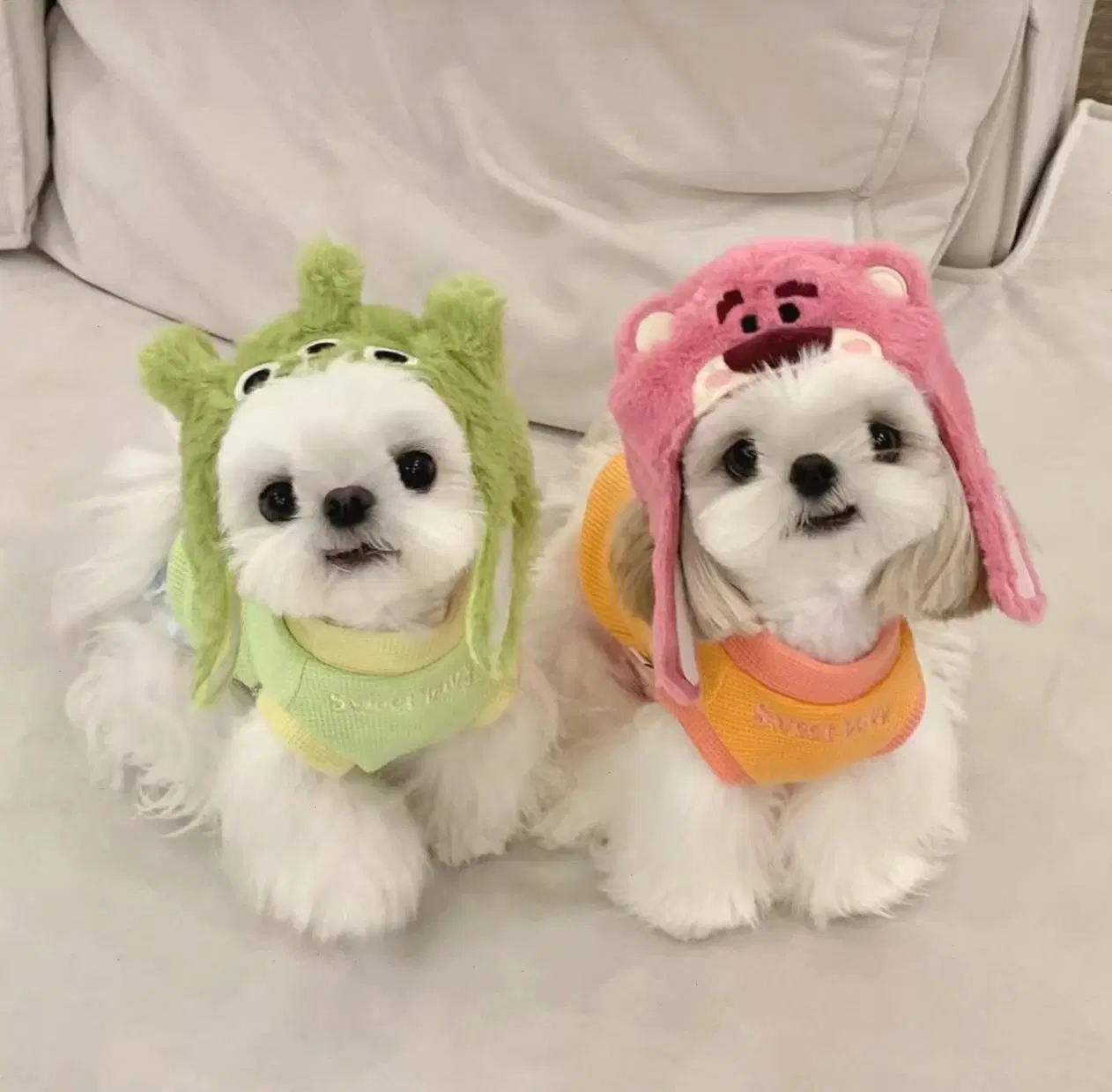 Christmas Halloween New Year Special-Shaped Pet Funny Cute Hat