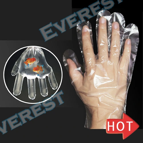 Plastic/Polyethylene/Poly/Vinyl/CPE/HDPE/LDPE/PE Disposable Gloves & Surgical Sectors