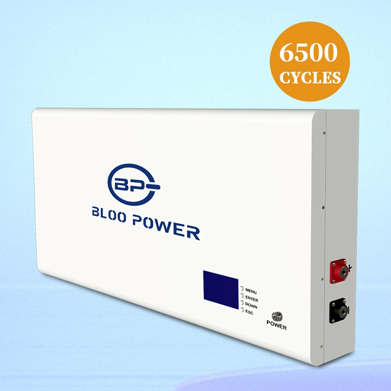Bloopower 5kwh Ion Home Use Pack 10 Kw Kwh Source Backup 10kwh100ah Li-ion Ess Smart Wall System Household The House Storage Battery