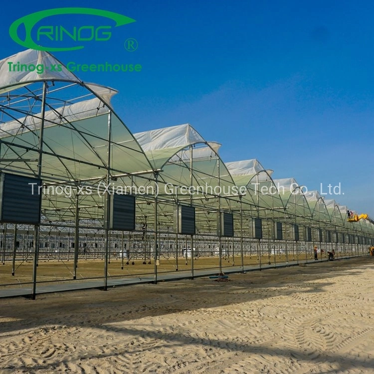 Trinog Greenhouse Multi-Span Arch Type PE/Po Plastic/Film Agricultural Greenhouse with Hydroponics System for Tomato/ Cucumber/ Lettuce/ Pepper Planting