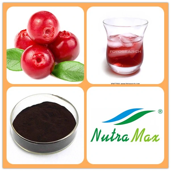 100% Natural Cranberry Fruit Juice Powder Extract (4: 1 to 25: 1)