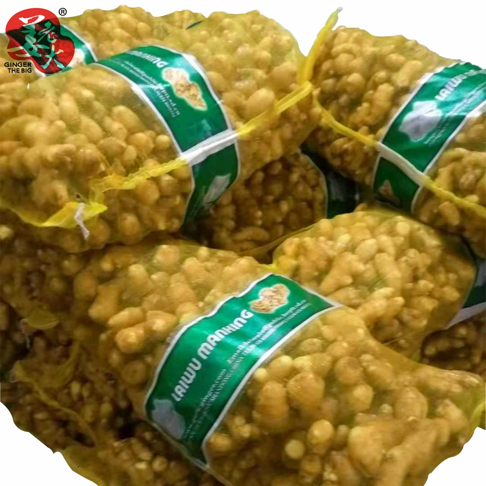 New China Ginger of 2021 Yellow Ginger Suitable for Bangladesh