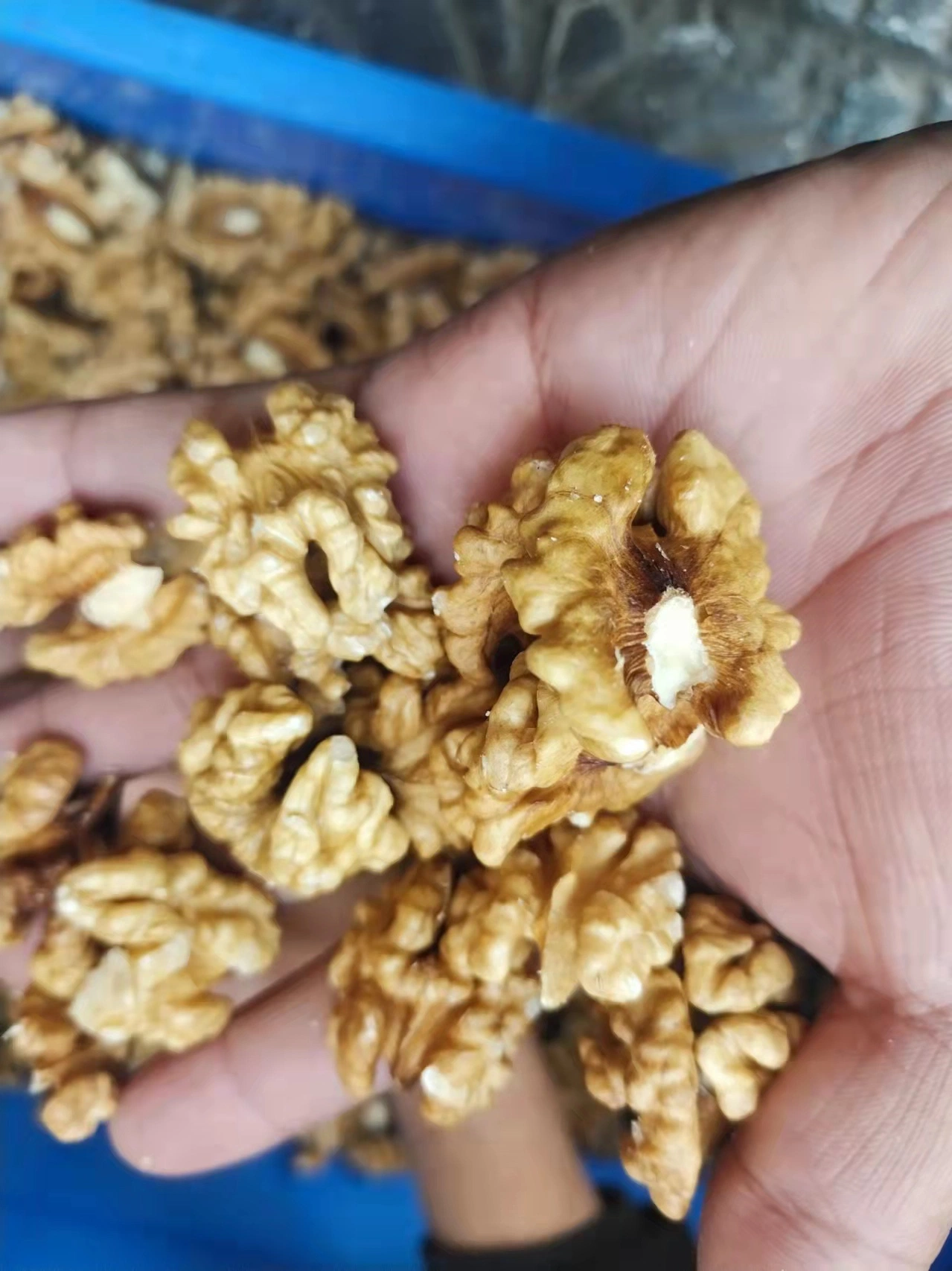 185 Best Taste Walnut Kernels Xinjiang