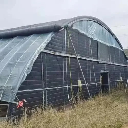 Seul Span serre avec film de type tunnel de rideaux de lumière pour effet de serre de privation de champignon