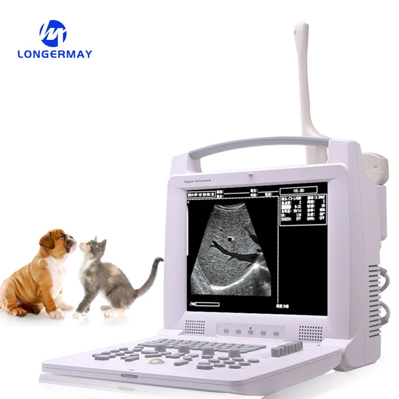 Vet Veterinary voll Digital Tragbarer S/W Ultraschallscanner für Tier