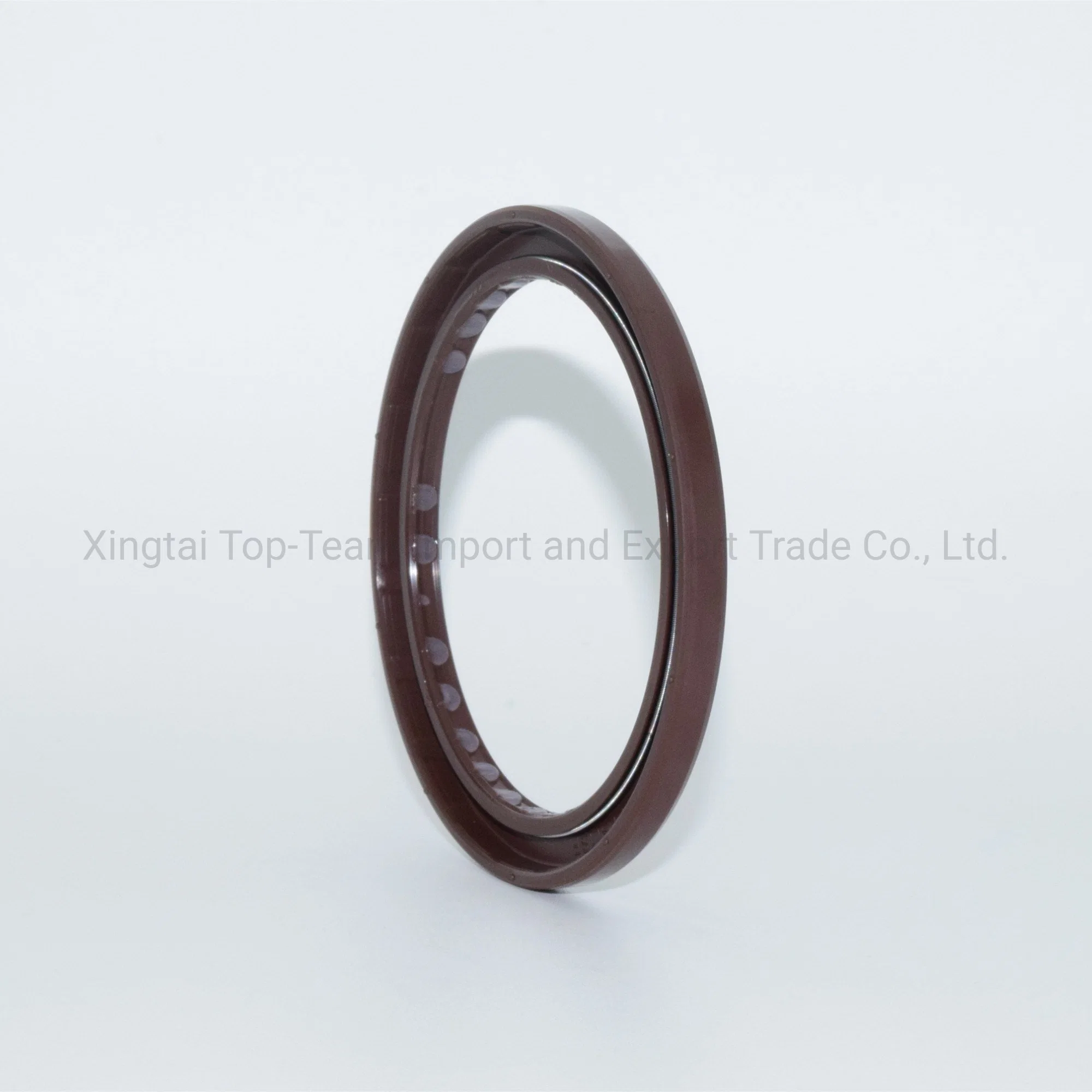 Dmhui Security Seals with FKM Material Bafsl1sf Type for A4vso355 Pump Rubber Oil Seals