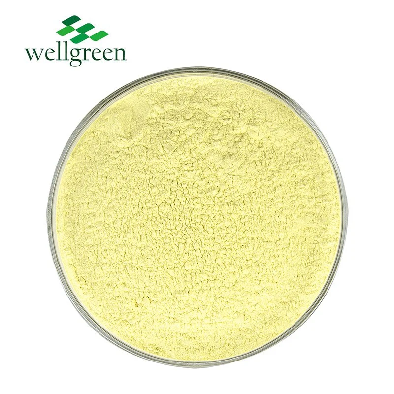 ISO Factory Bitter Orange Extract 90% Hesperidin Powder