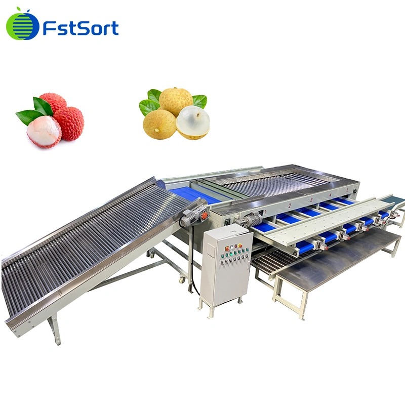 Fstsort Longan Fruit Sorter Grader/ Lychee Grading Classifying Machine/ Olive Sorting Grading Machine Longan Sorting Machine