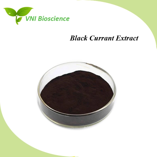 Kosher Certified 100% Natural Anthocyanin Powder Black Currant Extract