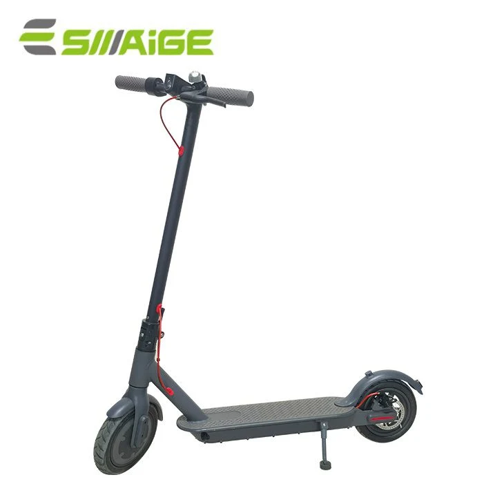 10 Zoll Elektro-Scooter 250W 36V 6Ah Erwachsene Elektro-Skate Platine